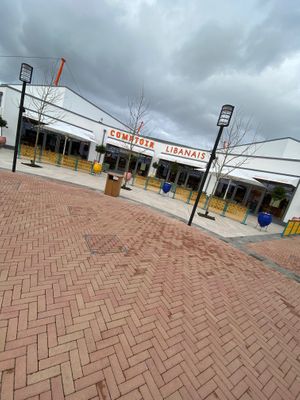 Really large branch at Comptoir Libanais in Ashford