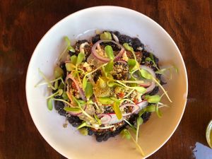 Vegan Chilaquiles  at Le' Kaat in Valladolid