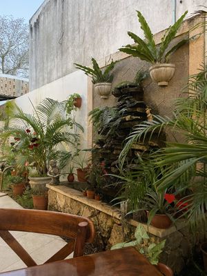 Nice outdoor area   at Le' Kaat in Valladolid