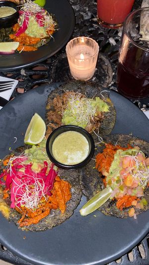   at Le' Kaat in Valladolid