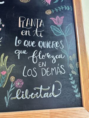   at Le' Kaat in Valladolid