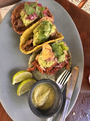   at Le' Kaat in Valladolid