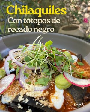 Chilaquiles - desayuno tradicional mexicano estilo Le Kaat - con totopos de maíz con recado negro, salsa roja, aguacate, cebolla morada, queso vegano y brotes at Le' Kaat in Valladolid