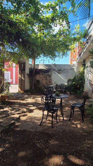   at Le' Kaat in Valladolid