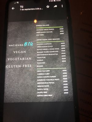 Vegan menu  at Hacienda BLU Beach Lounge & Grill in Liberia