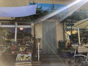 Organis Store at Berliner BioEisDiele in Berlin