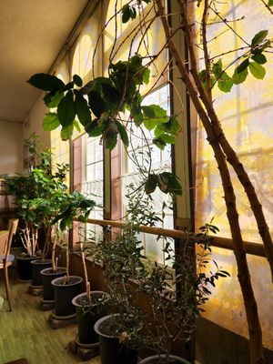  at Takano in Kanazawa