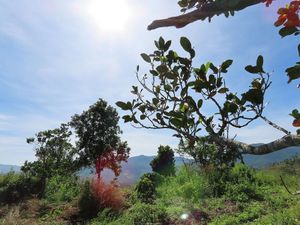 Fresh air at Boring B'lao in Bao Loc