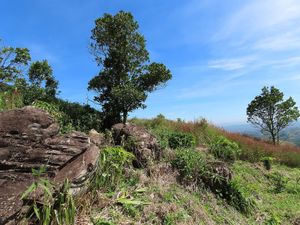 Stone field at Boring B'lao in Bao Loc