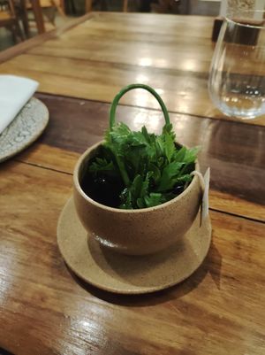  at Manga in Salvador