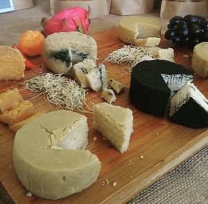 . at Casa Aberta in Salvador