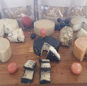 . at Casa Aberta in Salvador