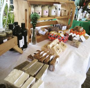 . at Feira Vegana Salvador in Salvador