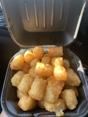 Tater tots at The Annex Crafthouse in Houston