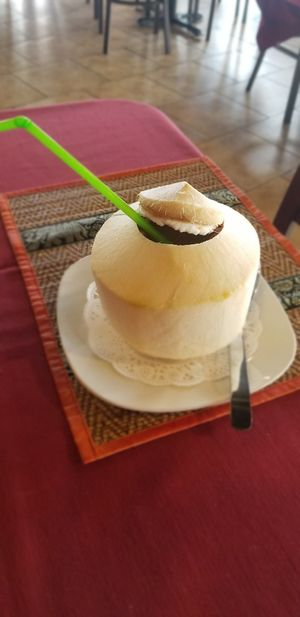 Fresh young coconut 🥥 at Thai Gourmet in Avondale