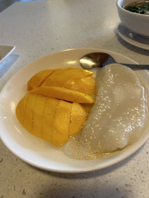 Not the most photogenic item, but absolutely delicious! Mango and sticky ricee  at Salaya in Los Angeles