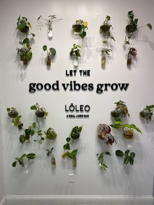   at LOLEO Juice Bar in Myrtle Beach