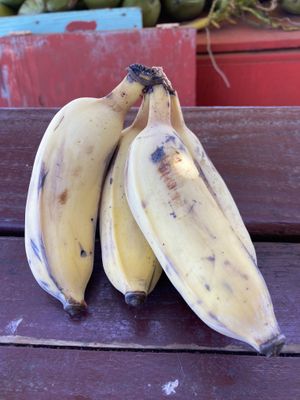 Fresh fruit - they had bananas, coconut, papaya, and mango when we visited.  at The Thai and Smoothie Place in Waimea