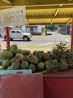 Coconuts  at The Thai and Smoothie Place in Waimea