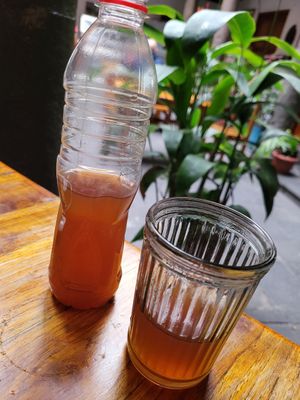 Kombucha at Govinda Gopal - Govindas  in Quito