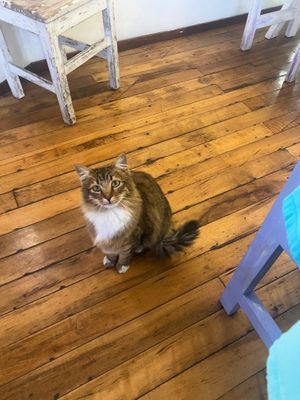   at Sakti Hostal y Pasteleria in Quito