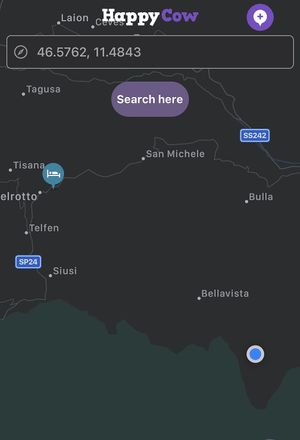 The actual location of the hotel (blue dot) at Paradiso Pure Living Vegan Hotel in Kastelruth