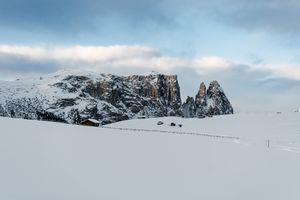  at Paradiso Pure Living Vegan Hotel in Kastelruth