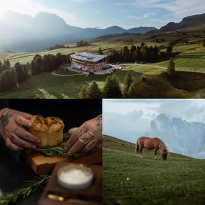  at Paradiso Pure Living Vegan Hotel in Kastelruth