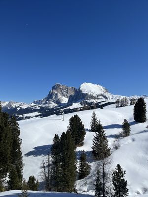   at Paradiso Pure Living Vegan Hotel in Kastelruth