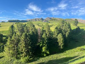  at Paradiso Pure Living Vegan Hotel in Kastelruth