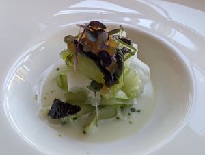 Cucumber, radish, tiger milk, green apple caviar at Paradiso Pure Living Vegan Hotel in Kastelruth