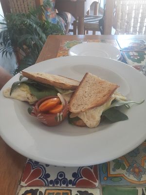 Sandwich verde at Losodeli in Puerto Escondido