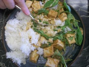 rice dish: tofu with spinach and peanut sauce at Thian's Thai Fusion in Ocean Shores