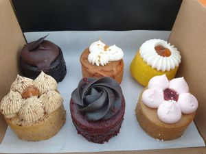 Choc ganache mud, Biscoff, Lemon & Passionfruit, Caramel Latte, Midnight red velvet, Jammy marshmallow at The Cake People in Keilor Park