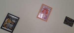  at Vegan Box in Faro