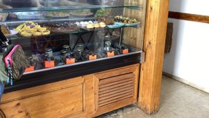   at Vegan Box in Faro