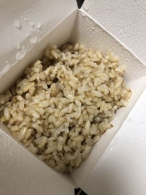 Brown rice  at Amitabha Vegan in Fresh Meadows