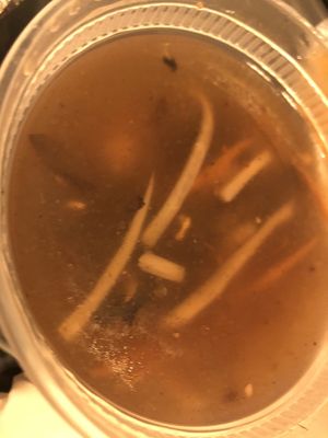 Small hot and sour soup   at Amitabha Vegan in Fresh Meadows