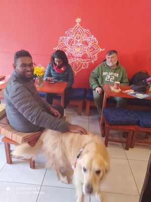 Pet friendly garhwal at Garhwal in Cusco
