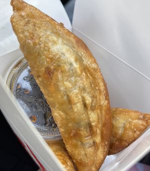 Potstickers at Vegan Sun in Provo