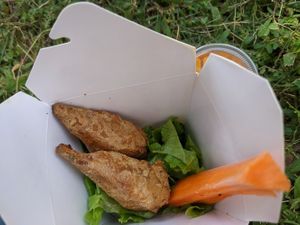 Buffalo Drumsticks from kids menu at Vegan Sun in Provo