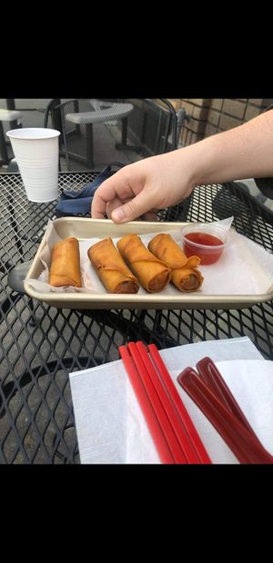 Crispy veggie rolls at Vegan Sun in Provo