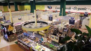 View from the seating area at Down to Earth in Kahului