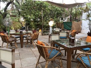   at Gratitude in Anjuna