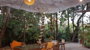  at Gratitude in Anjuna