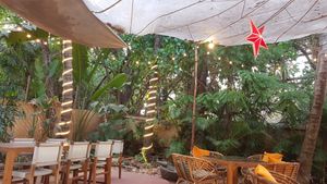  at Gratitude in Anjuna