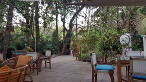  at Gratitude in Anjuna