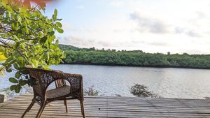 Vista para o rio at Pousada Casinha Amarela in Cairu