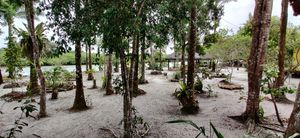 Outside area at Pousada Casinha Amarela in Cairu