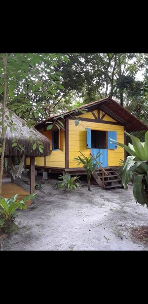 One of the bangaloos covered by native trees. at Pousada Casinha Amarela in Cairu